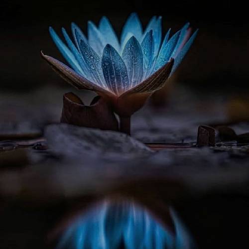 ایمان طهماسبی تونه خدا تُن سی ممد بیو سر مزاروم گلمی ای یار گلمی یار